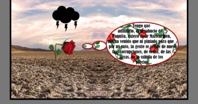 Un desahucio providencial