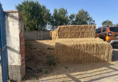 La Comunidad de Madrid reparte  alimento y  agua entre la fauna silvestre afectada por el gran incendio de la Sierra Oeste