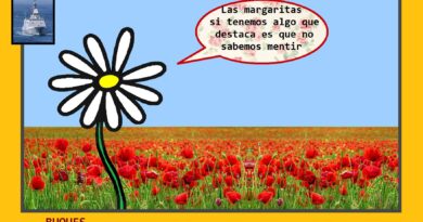 Buques «moros» en la costa