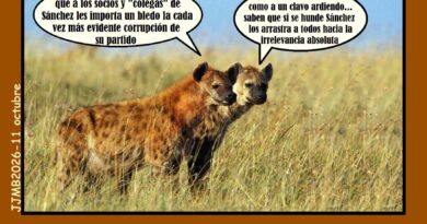 Carros y carretas