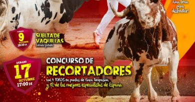 Toros en Villanueva del Pardillo