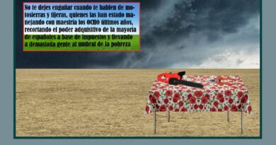 El 29N vota sin miedo