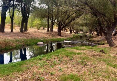 Galapagar completa la limpieza del río Guadarrama y afronta la temporada de lluvias con el cauce acondicionado Galapagar completa la limpieza del río Guadarrama y afronta la temporada de lluvias con el cauce acondicionado