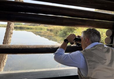 La Comunidad de Madrid presenta una Red de Observatorios de Fauna Silvestre pionera en España La Comunidad de Madrid presenta una Red de Observatorios de Fauna Silvestre pionera en España