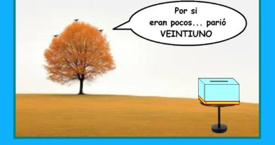 Perdidos entre demasiadas opciones