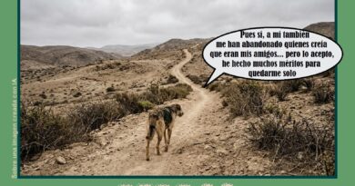 Perros
