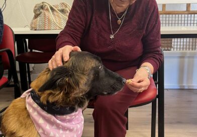 La perrita “karma” vuelve a las residencias de Galapagar para acompañar a los mayores La perrita “karma” vuelve a las residencias de Galapagar para acompañar a los mayores