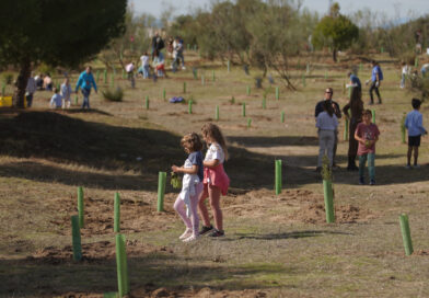Vuelve la Gran Plantación Familiar de Las Rozas