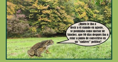Un día estás soñando y de repente ya no eres nadie