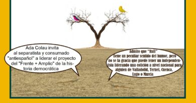 Un disparate nacional